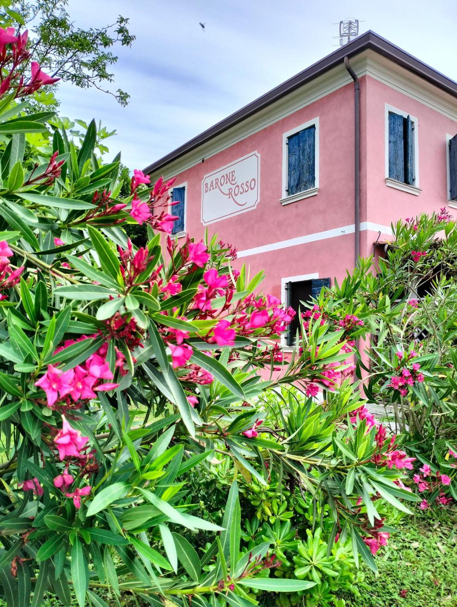 Barone Rosso Bed & Breakfast Treviso Eksteriør bilde